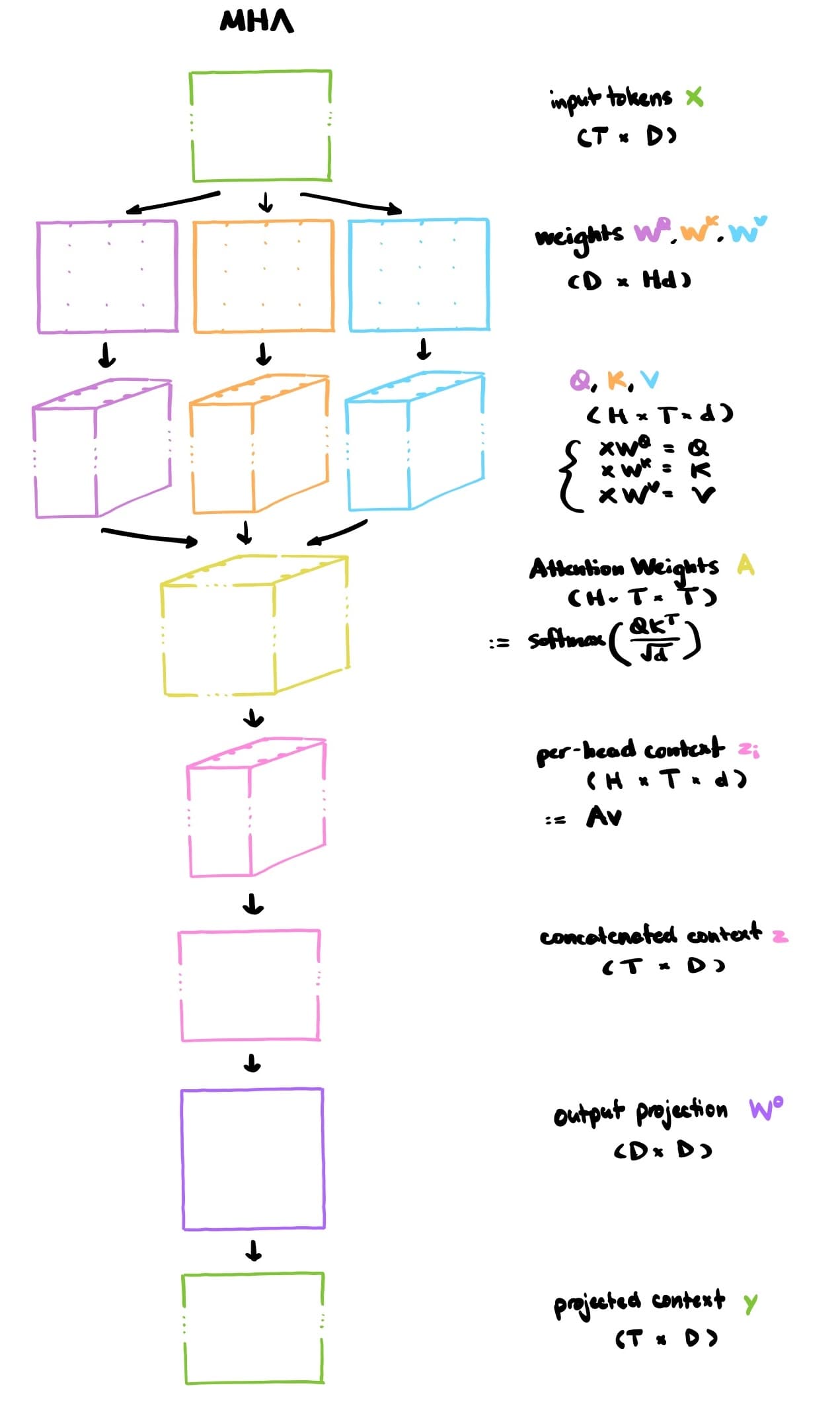 Multi-head Attention (MHA)